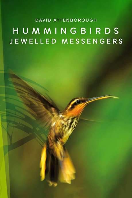 Hummingbirds: Jewelled Messengers